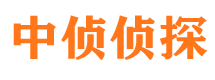 开平调查事务所